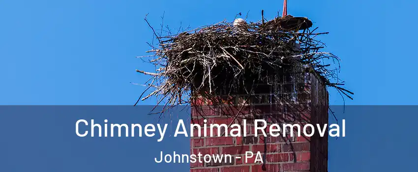 Chimney Animal Removal Johnstown - PA