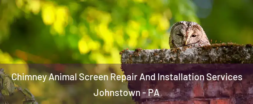  Chimney Animal Screen Repair And Installation Services Johnstown - PA