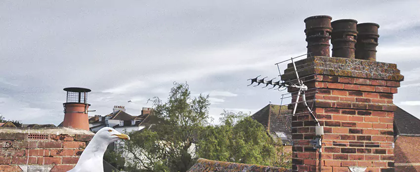 Chimney Cleaning And Restoration in Johnstown, Pennsylvania
